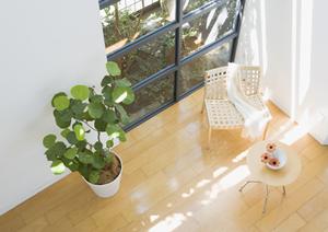 山口市で理想のマンションを見つけるための完全ガイド！敷金・礼金ゼロで新生活をスタートしよう